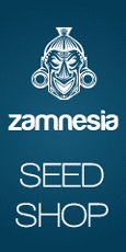 Zamnesia - Seedshop, Headshop, Smartshop, Vaporshop